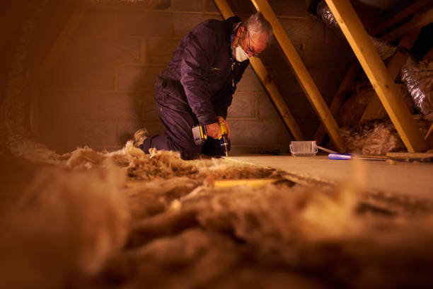 Best Insulation Replacement Services  in Glenside, PA